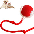 Smart 360° Self-Rolling Pet Ball