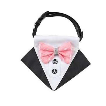 New wedding suit pet saliva towel dog collar pet triangle towel pet