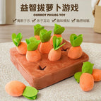 Carrot Field【9 Carrots】