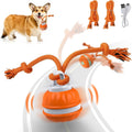 Self-Rolling Motion-Activated Dog Ball