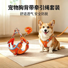 Collection image for: Dog Accessories