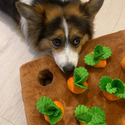 Pet Toy Durable Dog Pull Carrot Boredom Buster Self-Entertaining Snuffle Mat Energy-Burning Dog Enrichment Toy