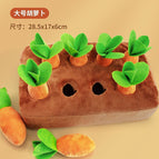 Carrot Field【8 Carrots】