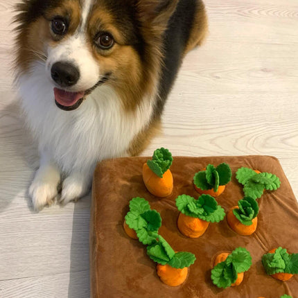 Pet Toy Durable Dog Pull Carrot Boredom Buster Self-Entertaining Snuffle Mat Energy-Burning Dog Enrichment Toy