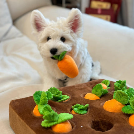 Pet Toy Durable Dog Pull Carrot Boredom Buster Self-Entertaining Snuffle Mat Energy-Burning Dog Enrichment Toy