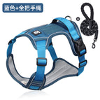 Lake Blue Two-Piece Set, S (recommended 4-7.5kg )