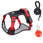 Black three-piece set, S (recommended 4-7.5kg )