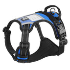 Nameplate blue, S (recommended 4-7.5kg )