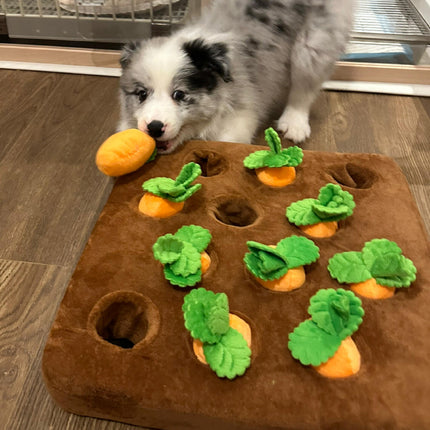 Pet Toy Durable Dog Pull Carrot Boredom Buster Self-Entertaining Snuffle Mat Energy-Burning Dog Enrichment Toy