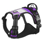 Nameplate purple, S (recommended 4-7.5kg )