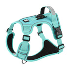 With airtag protective cover turquoise green, S (recommended 4-7.5kg )