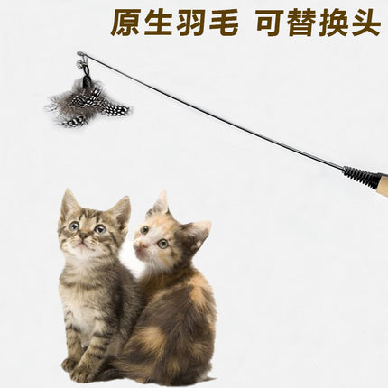 CFA Class Wooden Handle Cat Tease Stick Feather Bell Removable Replacement Head Cat Toy Durable Scratch Resistant Pet Toy