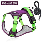 Purple Two-Piece Set, S (recommended 4-7.5kg )